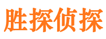 运河侦探公司